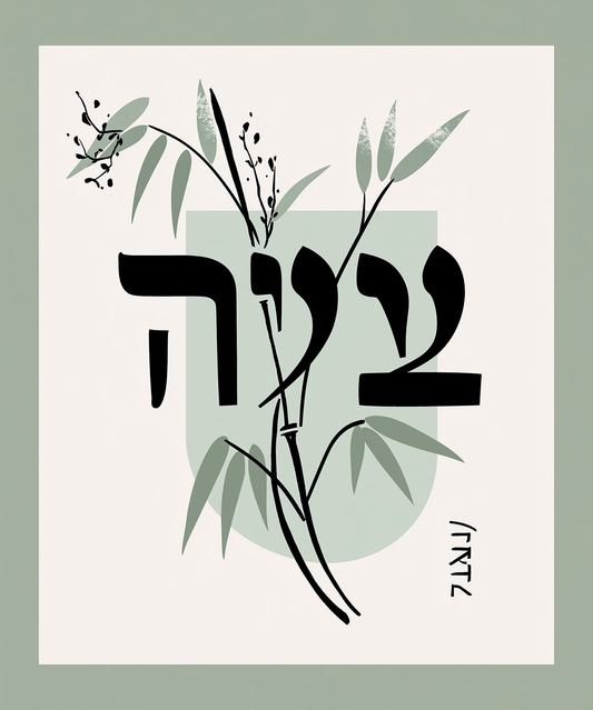 Eitan BM VISUAL CONCEPT & DESIGN